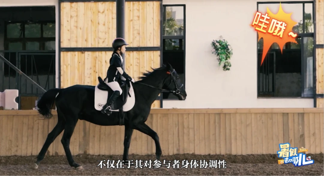 日本篮球训练下载什么软件好_2
