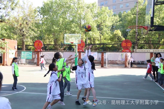 青少年篮球训练总结范文简短_0